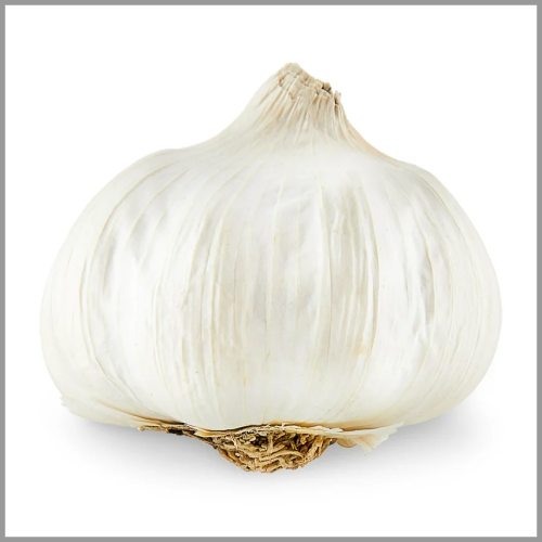 Garlic ea