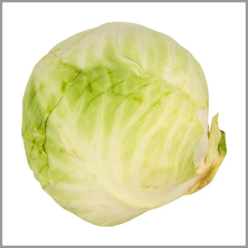 Green Cabbage ea
