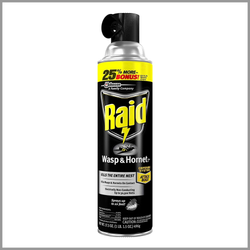 Raid Wasp Hornet Spray 17.5oz